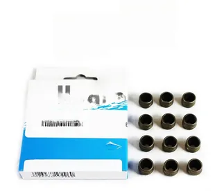 Victor Reinz Intake and Exhaust Engine Valve Stem Oil Seal Set - 11349064457